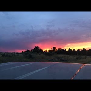 Meet your Posher, Tayler